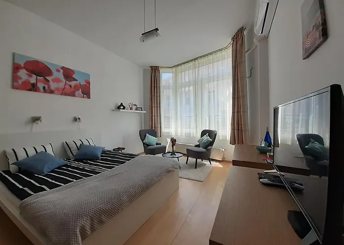 Central Belvedere Apartman